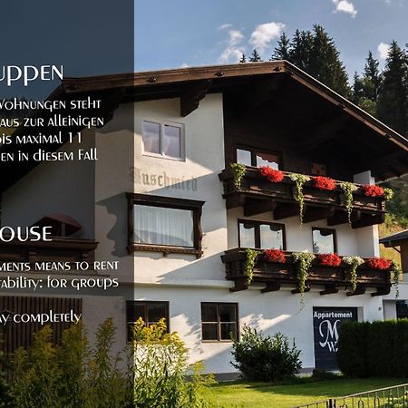 Ferienhaus Auschmiede Hollersbach im Pinzgau Extérieur photo